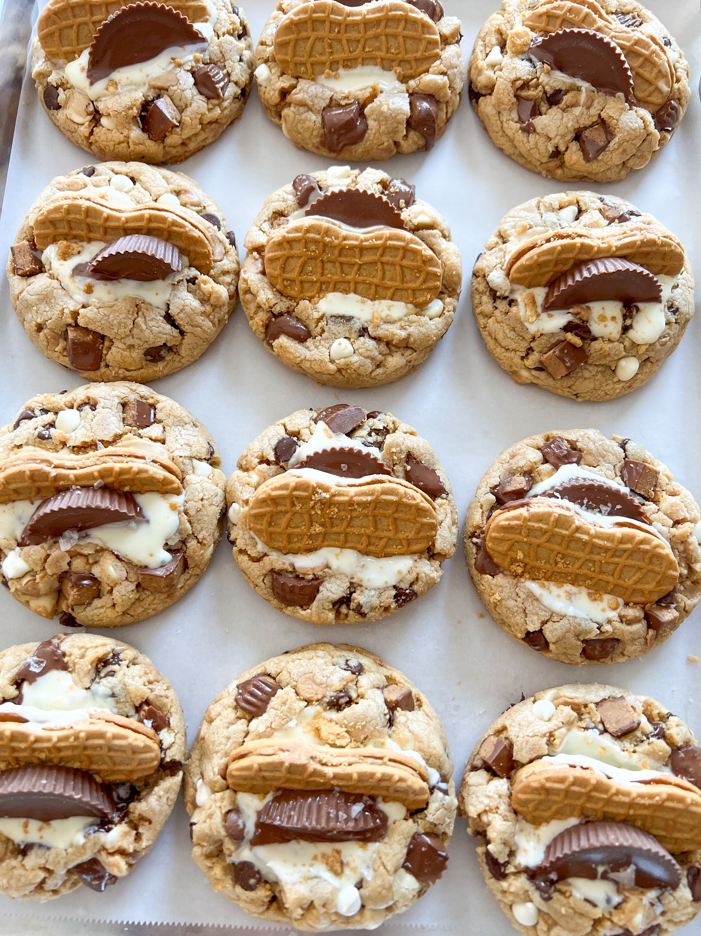 Chocolate Peanut Butter Ruckus - Soft Baked - Gourmet Drop Cookies