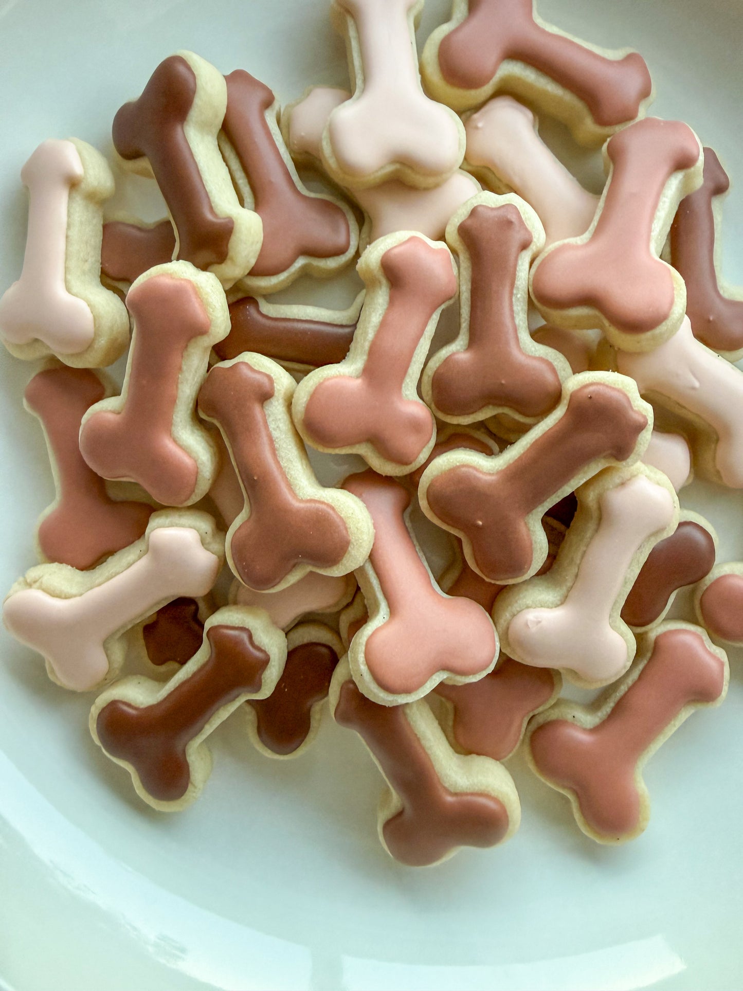 Eat a Bag of Dicks – Mini Iced Sugar Cookies - The Adult Collection