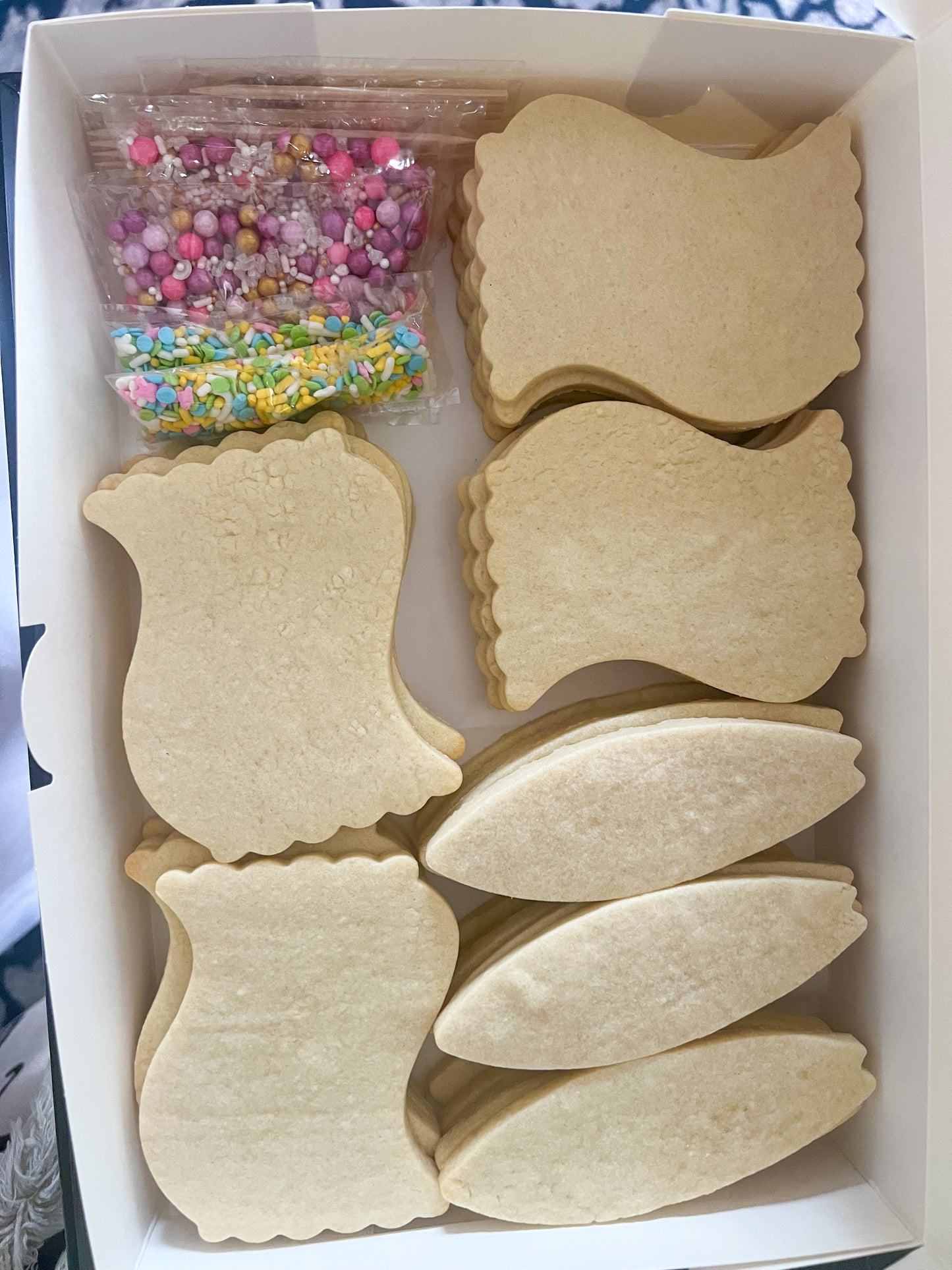 Summer Fun DIY Cookie Decorating Kit – 24 Cookies, 24 Piping Bags, Sprinkles & Tools