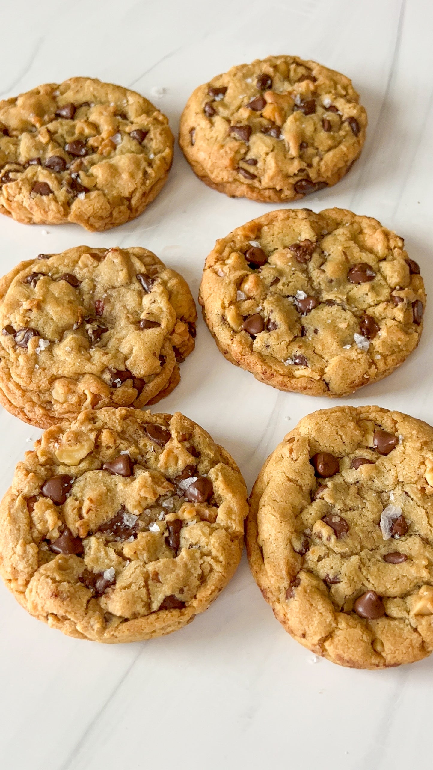 Chocolate chip walnut cookies 5 pk