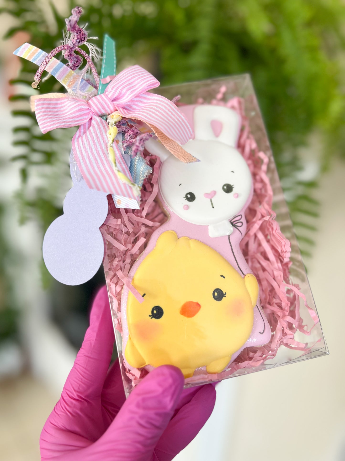 Easter Chick Cookie Collection