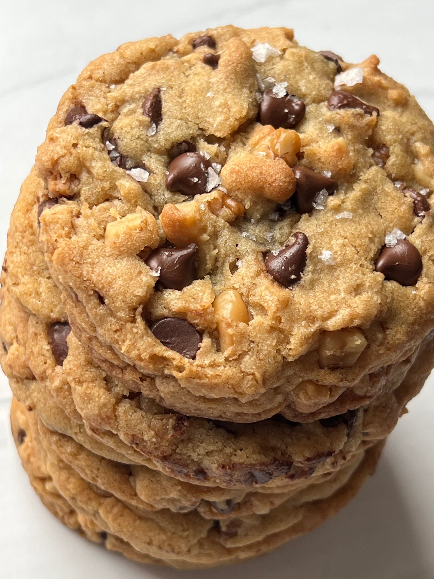 Chocolate Chip Walnut Cookie –  Soft-Baked, Gourmet Drop Cookies