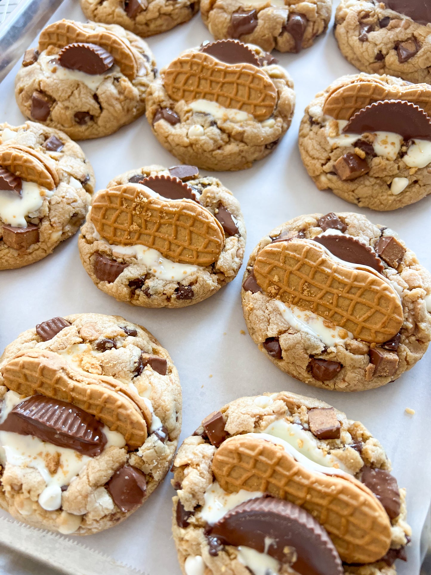 Chocolate Peanut Butter Ruckus - Soft Baked - Gourmet Drop Cookies