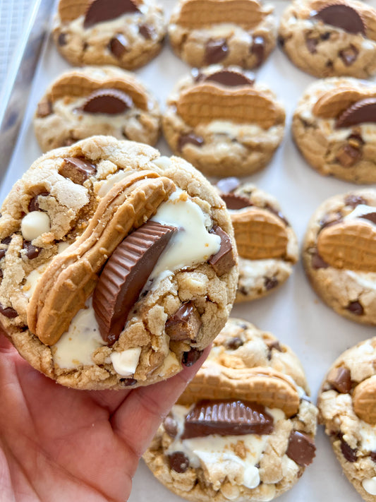 Chocolate Peanut Butter Ruckus - Soft Baked - Gourmet Drop Cookies