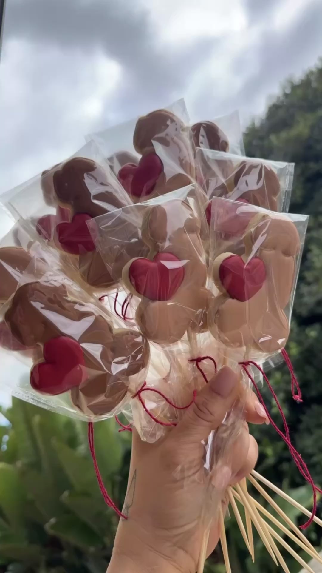 Penis on a stick cookies individually wrapped in clear bags